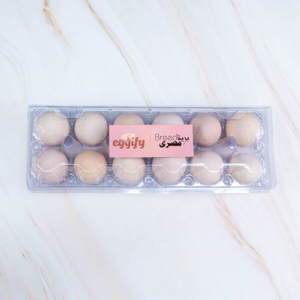 Organic Eggs, Naturally Fresh! 🥚 by Eggify - Image 5