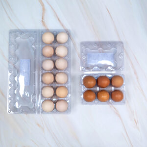 Misri 12 Pcs + Roman Brown 6 Pcs