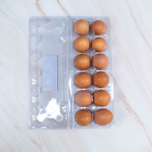 Organic Eggs, Naturally Fresh! 🥚 by Eggify - Image 6