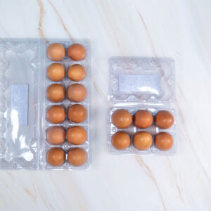 Roman Brown Breed - Pure Desi Eggs