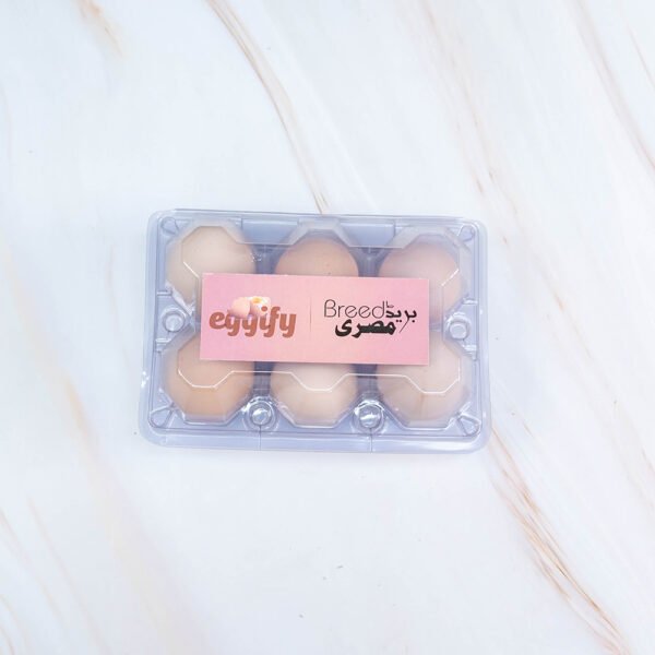 Organic Eggs, Naturally Fresh! 🥚 by Eggify - Image 12