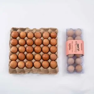 Misri 12 Pcs + Roman Brown Full Crate
