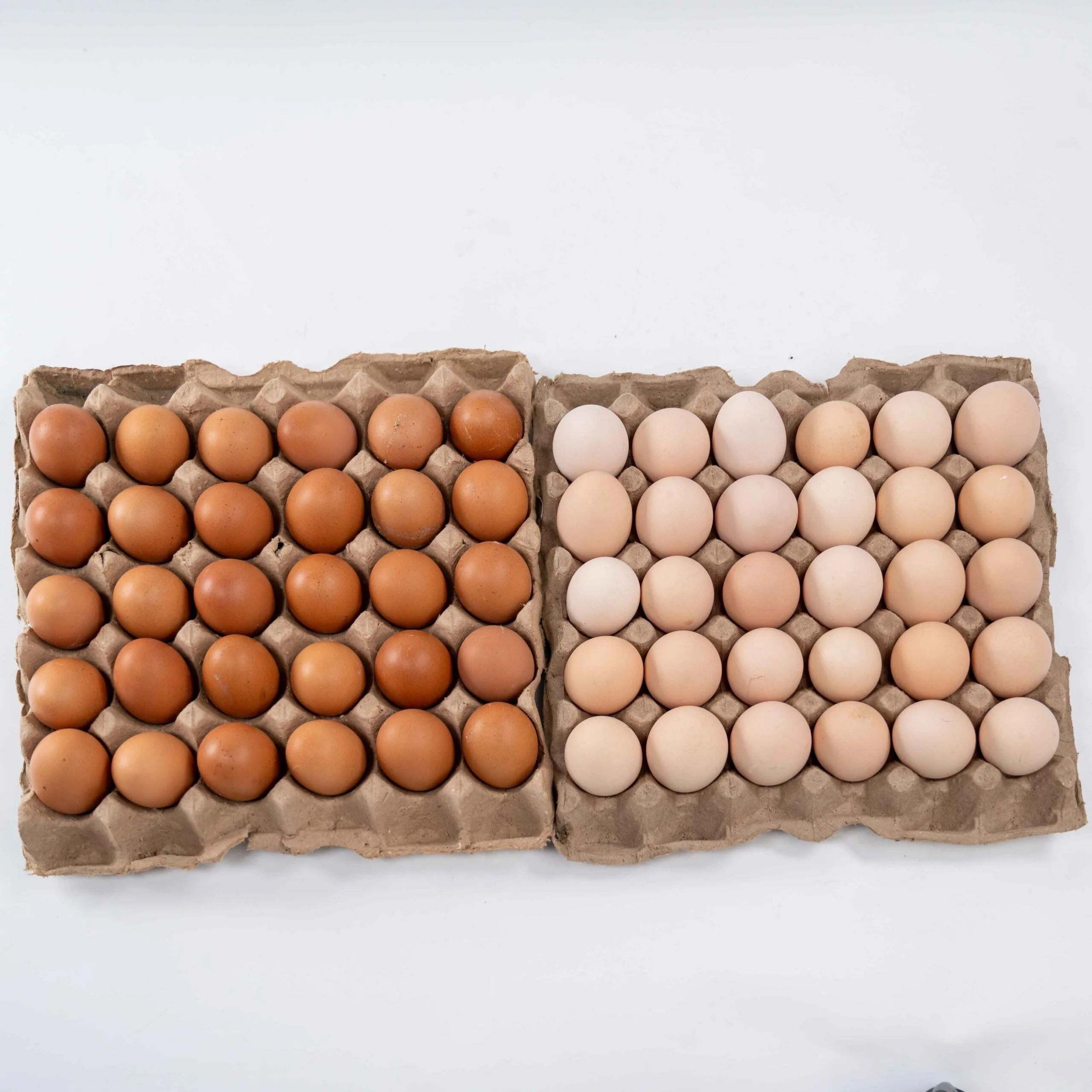 Misri Full Crate + Roman Brown Full Crate - Image 2