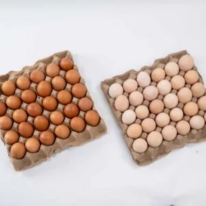 Misri Full Crate + Roman Brown Full Crate