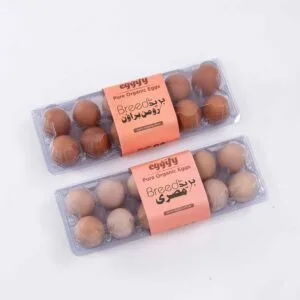 Misri 12 Pcs + Roman Brown 12 Pcs