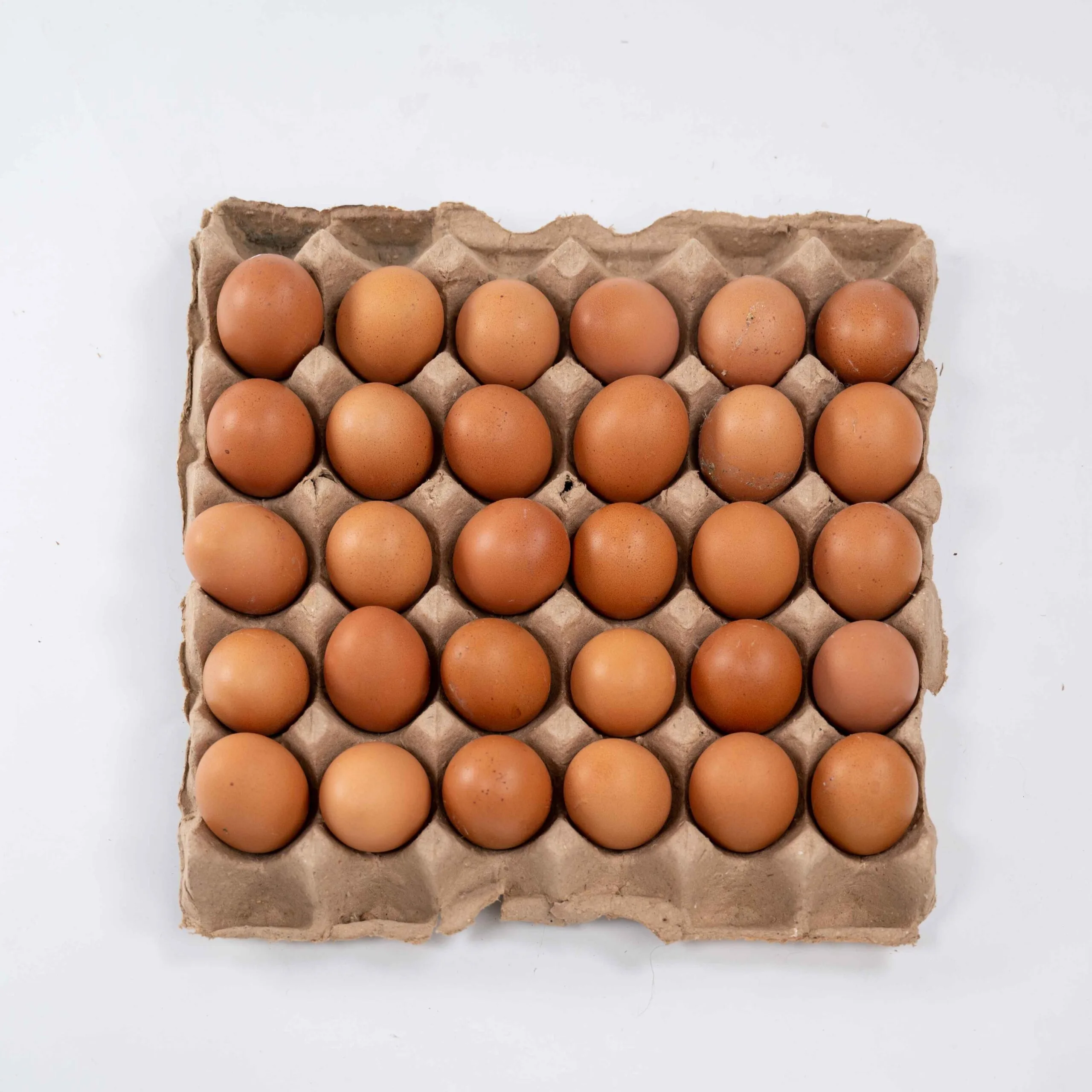 Misri Full Crate + Roman Brown Full Crate - Image 4