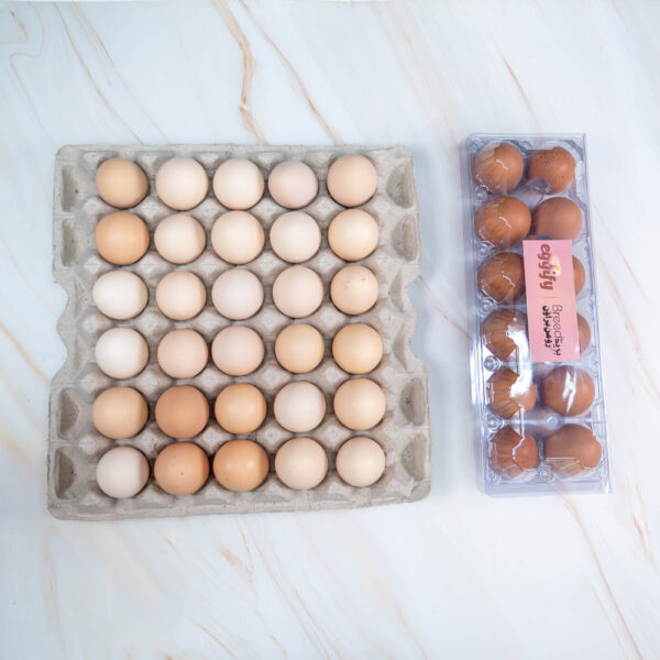 Misri Full Crate + Roman Brown 12 Pcs - Image 2