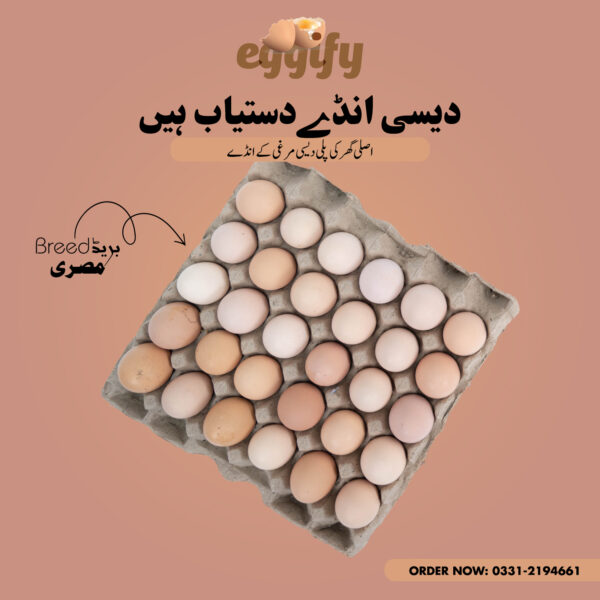 Misri Breed - Desi Eggs