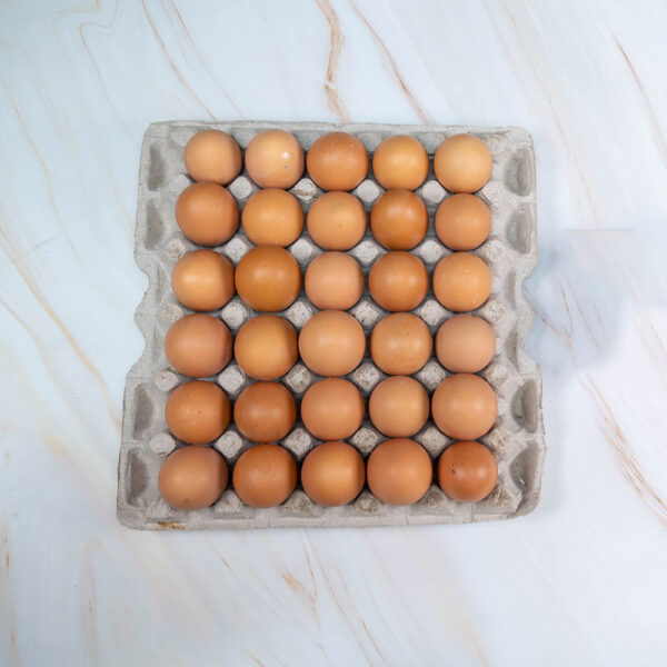 Misri 12 Pcs + Roman Brown Full Crate